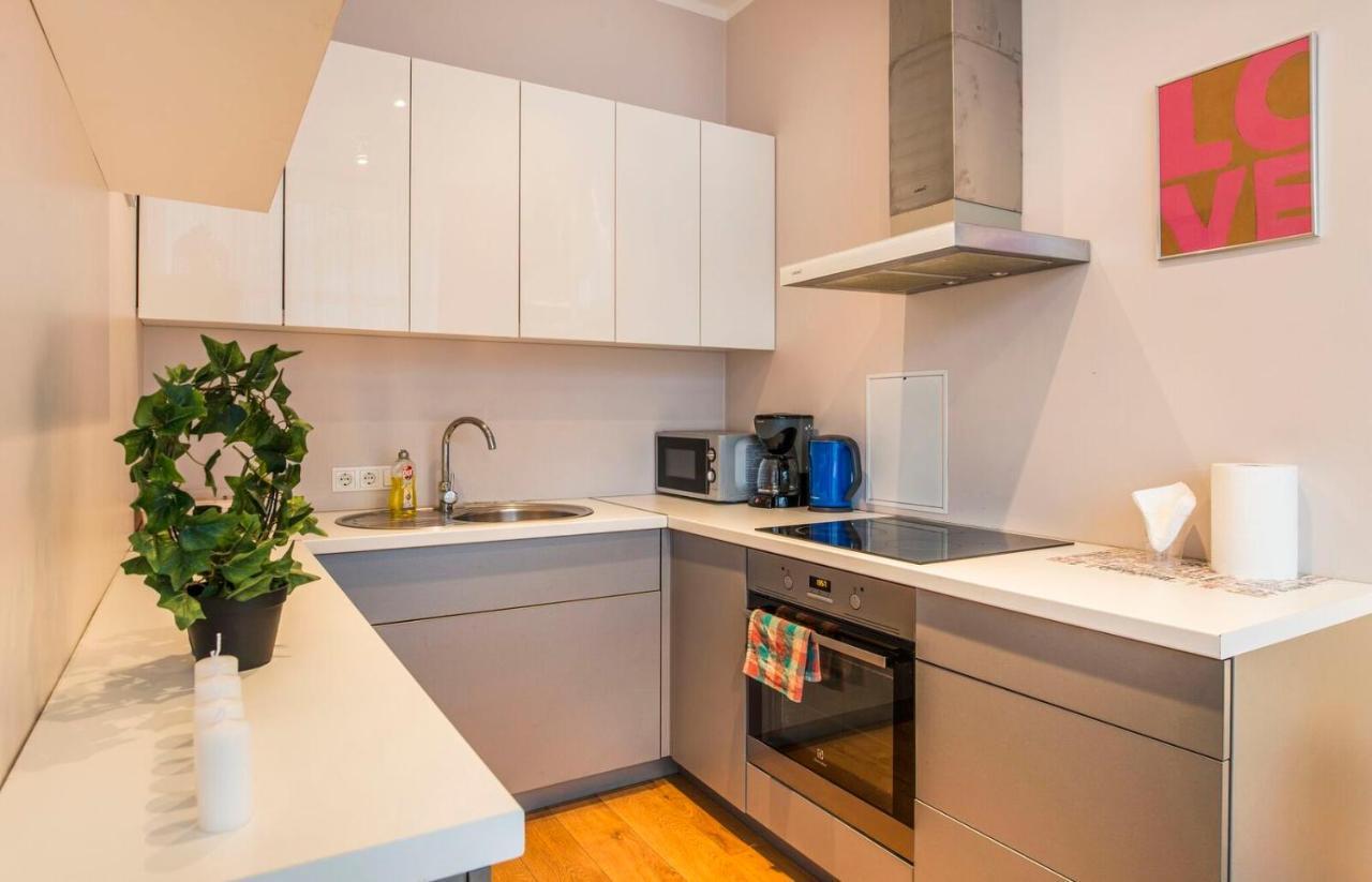 Central 2-Level Penthouse With Terrace And Free Parking รีกา ภายนอก รูปภาพ